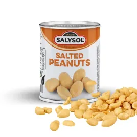 salysol-orzeszki-ziemne-solone-puszka-60g