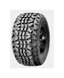 wanda-p3077-23x11-10-98-a3-4pr-tl