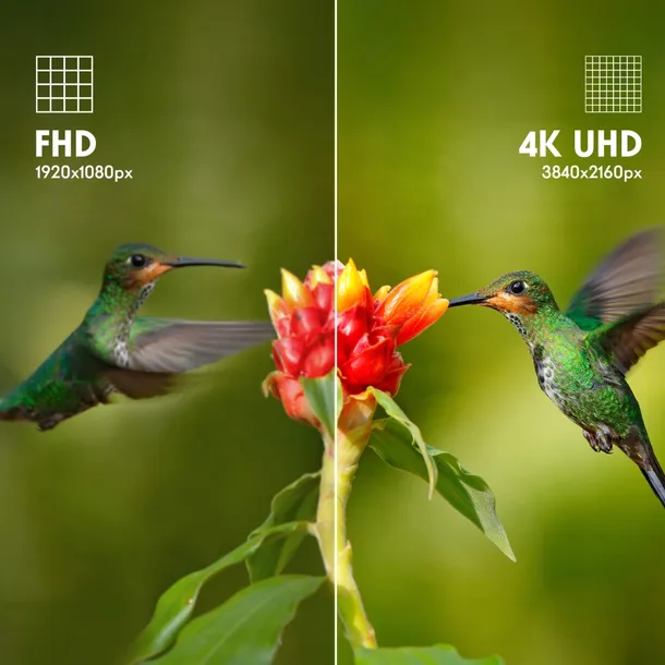 telewizor-65-thomson-65ug4s14-przekatna-ekranu-65