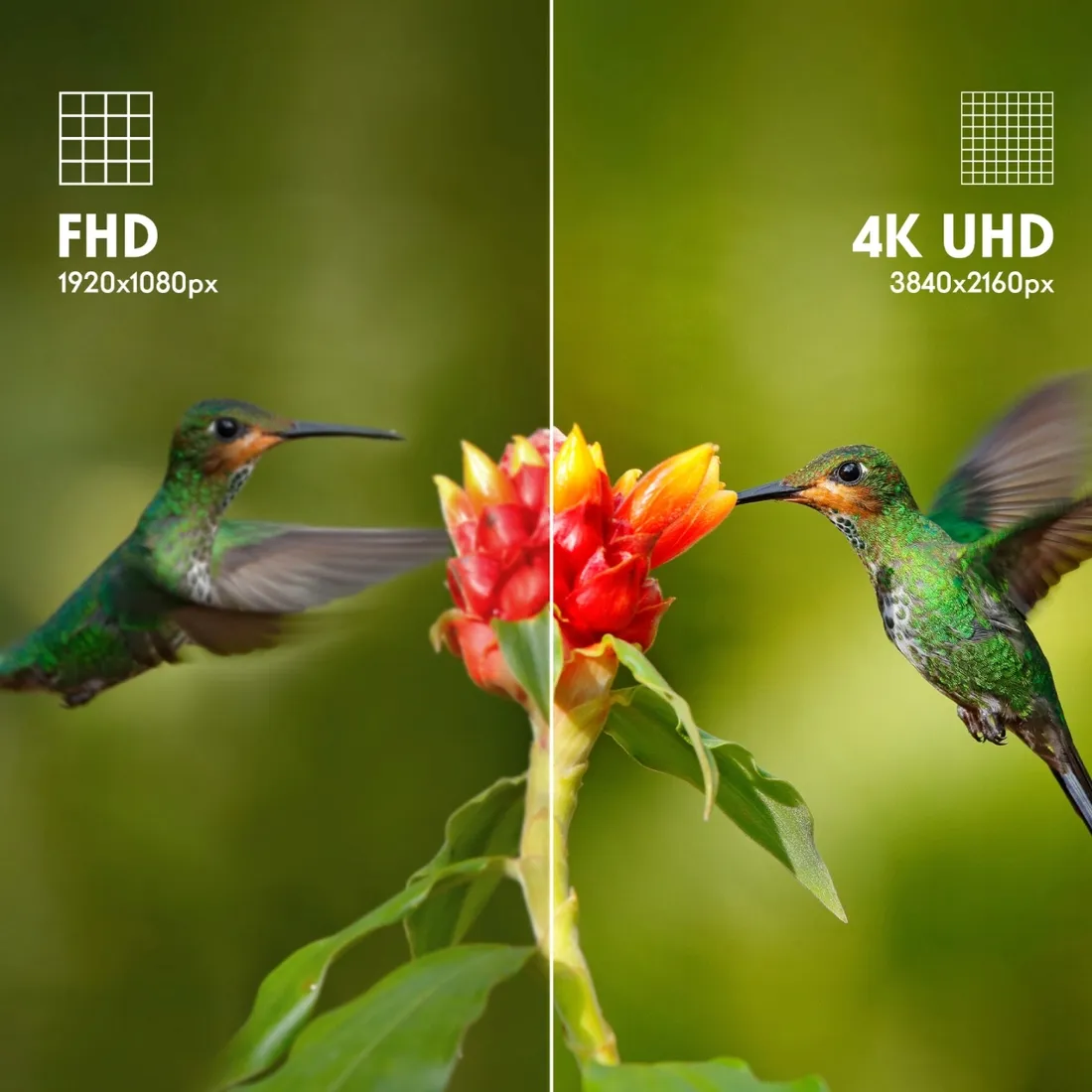 telewizor-65-thomson-65ug4s14-stan-nowy