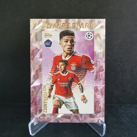 te8-enzo-fernandez-benfica-topps-gold-x-leydon-numerowana-25