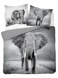 posciel-220x200-slon-szara-mlodziezowa-slonie-elephant-holland-natura