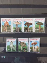 znaczki-flora-grzyby-kampucza-czysty-zn25