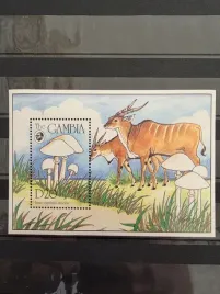 znaczki-flora-grzyby-gambia-czysty-zn20