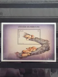 znaczki-flora-grzyby-antigua-and-barbuda-czysty-zn21