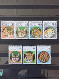 znaczki-fauna-koty-tygrysy-lwy-pantery-gepardy-sahara-czysty-zn5