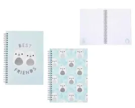 notes-na-spirali-frosty-148x210mm-mp