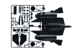 1-72-sr71-blackbird-with-drone-okres-po-ii-wojnie-swiatowej