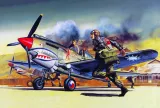 academy-12456-p-40b-1-72-model-ma-12456