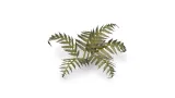 gamers-grass-laser-plants-bracken-paproc-typ-srednio-twarda