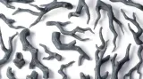 gamers-grass-basing-bits-gnarled-branches-sekate-galezie-stan-nowy-stan-opakowania-oryginalne