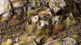 gamers-grass-grass-tufts-2-mm-dry-green-tiny-stan-nowy-nazwa-gamersgrass-tiny-dry-green-2mm