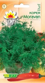 koper-ogrodowy-moravan-nasiona-warzyw-5g-toraf-123