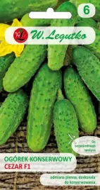 ogorek-gruntowy-konserwowy-cezar-f1-nasiona-5-g-227