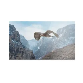 szklana-deska-do-krojenia-homeprint-orzel-w-locie-60x52-cm