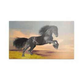 szklana-deska-do-krojenia-homeprint-czarny-kon-60x52-cm