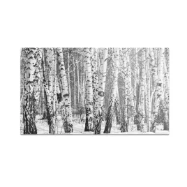 szklana-deska-do-krojenia-homeprint-brzozowym-las-60x52-cm