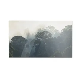 szklana-deska-do-krojenia-homeprint-las-deszczowy-we-mgle-60x52-cm
