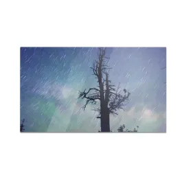 szklana-deska-do-krojenia-homeprint-drzewo-na-tle-nieba-60x52-cm
