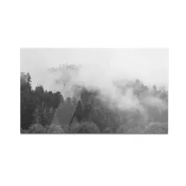 szklana-deska-do-krojenia-homeprint-mglisty-las-w-kalifornii-60x52-cm