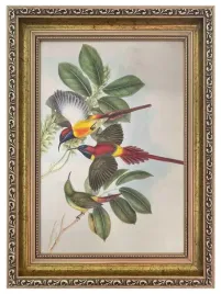 ramka-na-zdjecie-21x297-bronislaw-zloty