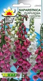 naparstnica-purpurowa-mix-kolorow-miododajna-zapyla05g