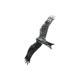 przypinka-mysliwska-kania-ruda