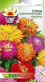 cynia-chryzantemowa-mix-1g-toraf-241