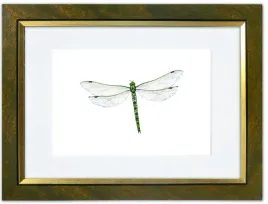 tokio-ramka-30x40-passe-partout-do-zdjec-a4-zlotab