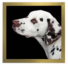 ramka-kwadratowa-na-zdjecie-30x30-italia-zlota