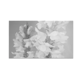szklana-deska-do-krojenia-homeprint-monochromatyczne-kwiaty-60x52-cm