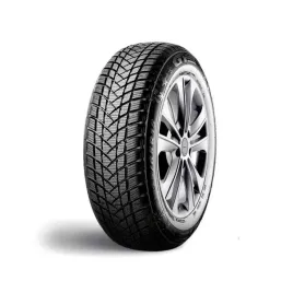 gt-radial-winterpro-2-205-55-r16-91-t