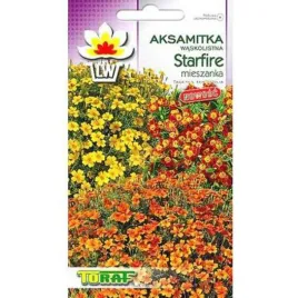 aksamitka-waskolistna-niska-starfire-mix-nasiona-05g-toraf-234