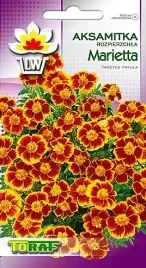 aksamitka-rozpierzchla-harvest-moon-1g-toraf