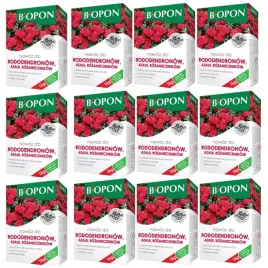 biopon-nawoz-do-rododendronow-azalii-rozanecznikow-granulat-1kg-wybarwia