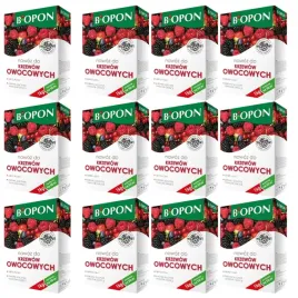 biopon-nawoz-do-krzewow-owocowych-malin-porzeczek-aronii-jezyn-granulat-1kg
