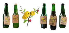 zestaw-5x-lemoniady-z-pigwowca-rozne-smaki-1650ml