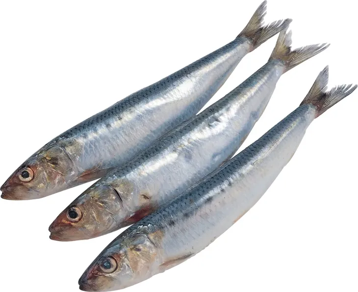 fala-filety-sledziowe-345-g-marka-fala-waga-z-opakowaniem-0-2-kg