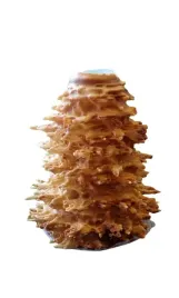 tradycyjny-podlaski-sekacz-2-kg