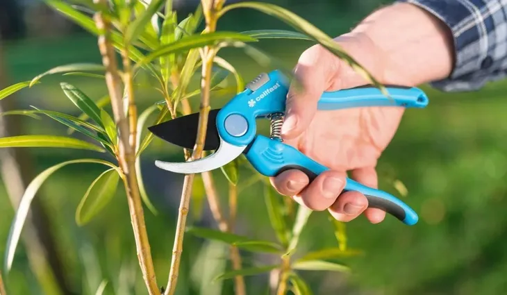 nozyce-reczne-cellfast-5-cm-napiecie-akumulatora-0-v