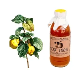 sok-100percent-z-pigwowca-japonskiego-330-ml