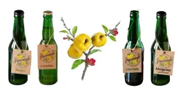 zestaw-lemoniady-z-pigwowca-rozne-smaki-1320ml