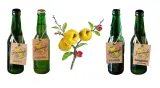lemoniada-z-pigwowca-kwasna-330ml-rodzaj-napoj