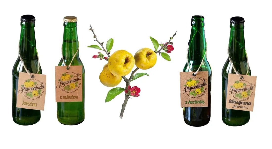 lemoniada-z-pigwowca-kwasna-330ml