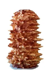 tradycyjny-podlaski-sekacz-4-kg
