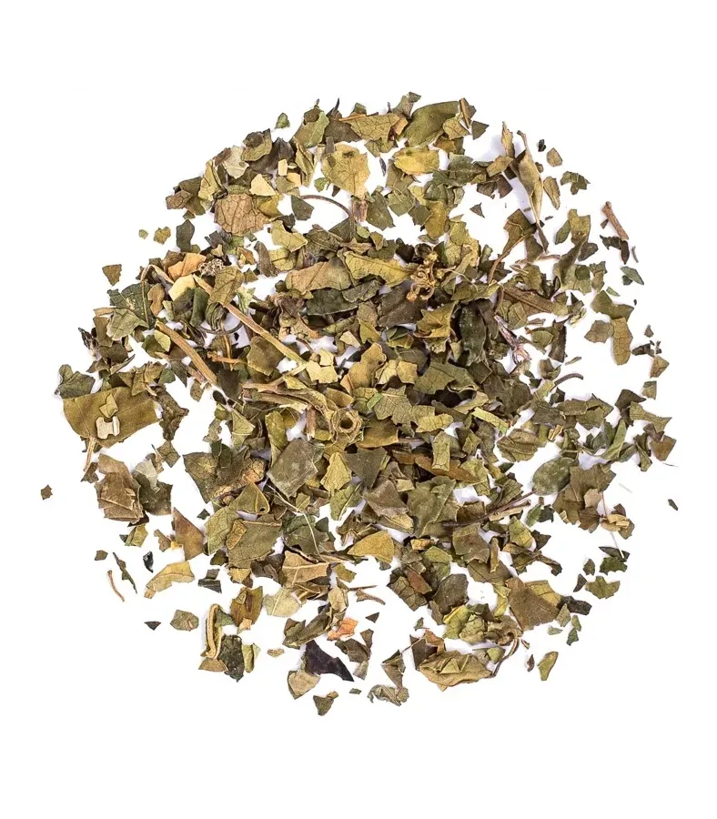 gurmar-ziele-10kg-przepis-stan-nowy