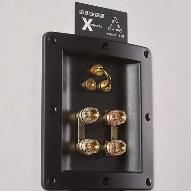 kolumna-centralna-dynavoice-definition-dc-5-marka-dynavoice