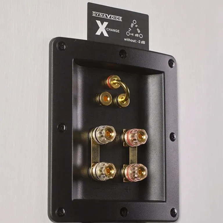 kolumna-centralna-dynavoice-definition-dc-5