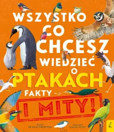 wszystko-co-chcesz-wiedziec-ptakach-fakty-i-mity