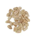 orzechy-ziemne-prazone-100g-marka-planteon